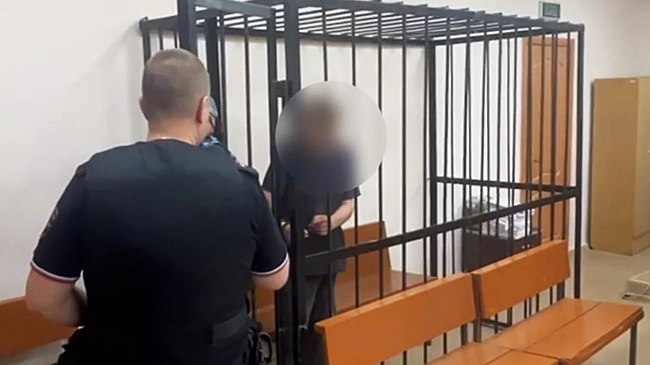 В Подмосковье вынесут приговор местному «Раскольникову»