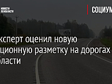 Автоэксперт оценил новую вибрационную разметку на дорогах Ленобласти
