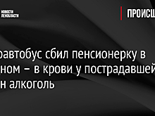 Микроавтобус сбил пенсионерку в Отрадном – в крови у пострадавшей найден алкоголь