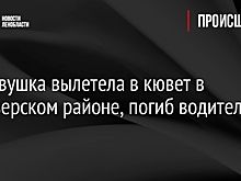 Легковушка вылетела в кювет в Приозерском районе, погиб водитель