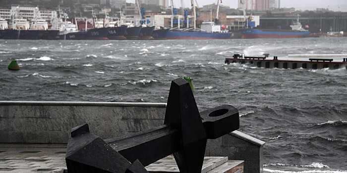 Штормовой ветер обрушился на Владивосток: повалены деревья и заборы, на одном из перекрестков на дорогу упал фонарь