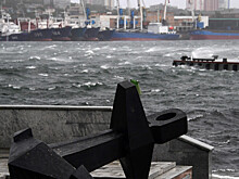 Штормовой ветер обрушился на Владивосток: повалены деревья и заборы, на одном из перекрестков на дорогу упал фонарь