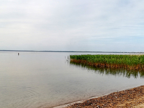 В Ярославских заповедниках ужесточат охрану земель