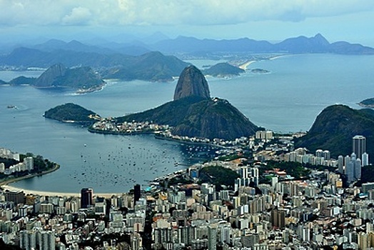 Роспотребнадзор сообщил о вспышке желтой лихорадки в Бразилии