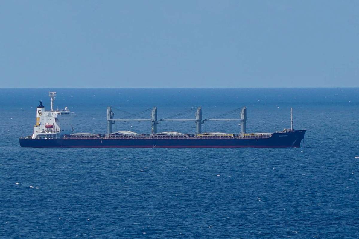 Украина конфисковала сухогруз под флагом Камеруна