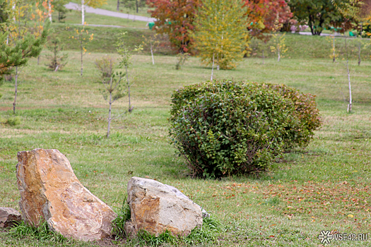 Новый парк культуры и отдыха появится в Кемерове