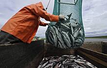 Рыбаков проверят на освоение квот в следующем году