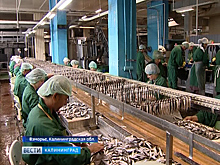 Ко Дню рыбака в Калининграде наградили лучших работников отрасли
