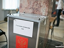 Участников праймериз в Пермском крае предостерегли от нарушений