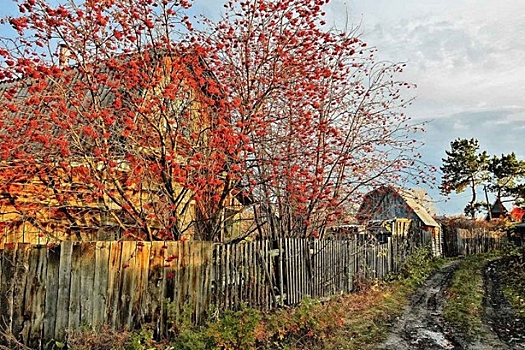 Больше 600 дач бесплатно газифицируют под Новосибирском в 2025 году