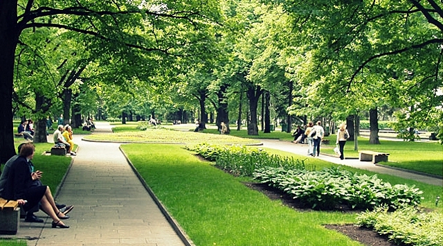 Миллион деревьев и кустарников высажено в столице