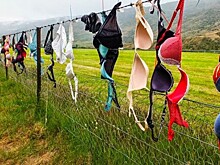 Самый необычный забор в мире