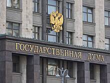 В Госдуме рассказали о дополнительной выплате для беременных