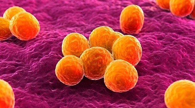 «Супербактерии» скоро сделают рак полностью неизлечимым