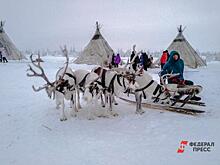Ямальский «чумовой капитал» признан лучшей региональной практикой