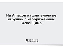 На Amazon нашли елочные игрушки с изображением Освенцима