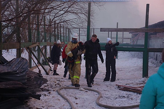 В Южно-Сахалинске из-за пожара в приюте эвакуировали 500 собак и кошек