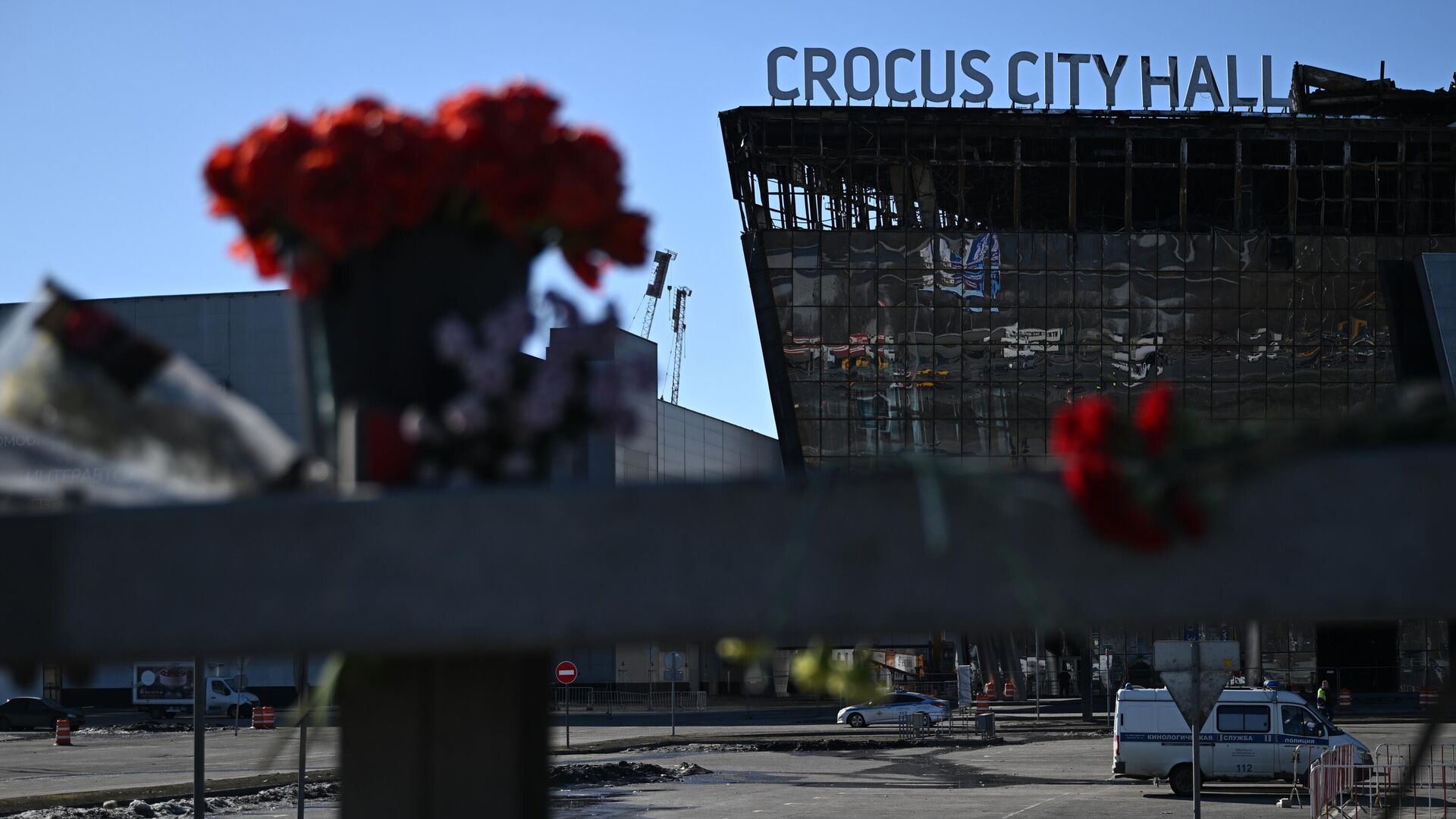 Родственница напавшего на «Крокус» террориста заявила, что чувствует боль