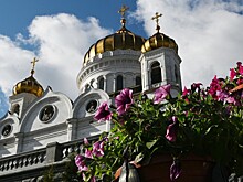 Почему исчезает человек читающий