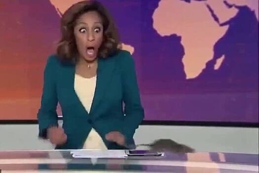 Лондонский шик: крыса атаковала ведущую в прямом эфире