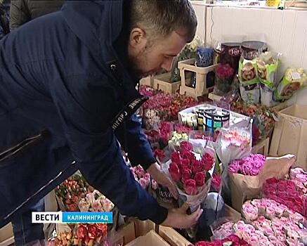 В Калининграде цветочный бум
