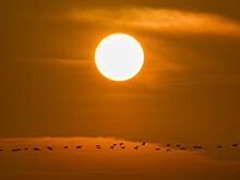 На Солнце обнаружили дыру жутких размеров: чем она опасна