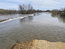 Уровень воды в Ишиме в селе Абатском поднялся за сутки на 149 см