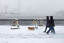 В Свердловской области несколько участков трасс перекрыли из-за снегопада