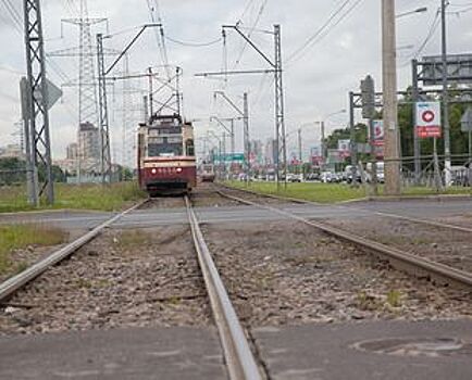 Смольный отказался от трамвайной концессии в Петергоф