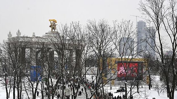 Гран-при Москвы по ледовому картингу пройдет на ВДНХ 2 марта