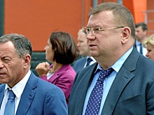 Экс- директор «Гринфлайта» просит лишение свободы заменить на принудительные работы