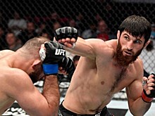 Анкалаев против Сантоса. Где смотреть турнир UFC