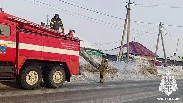 В Кузбассе сотрудники МЧС "спасли киску из зоны риска"