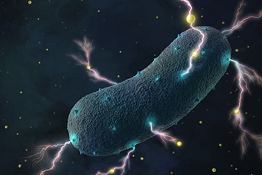 Ученые: бактерии кишечника могут вырабатывать электричество