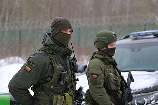 ДГБ Литвы заявил о задержании лиц, действовавших якобы по наводке спецслужб РФ