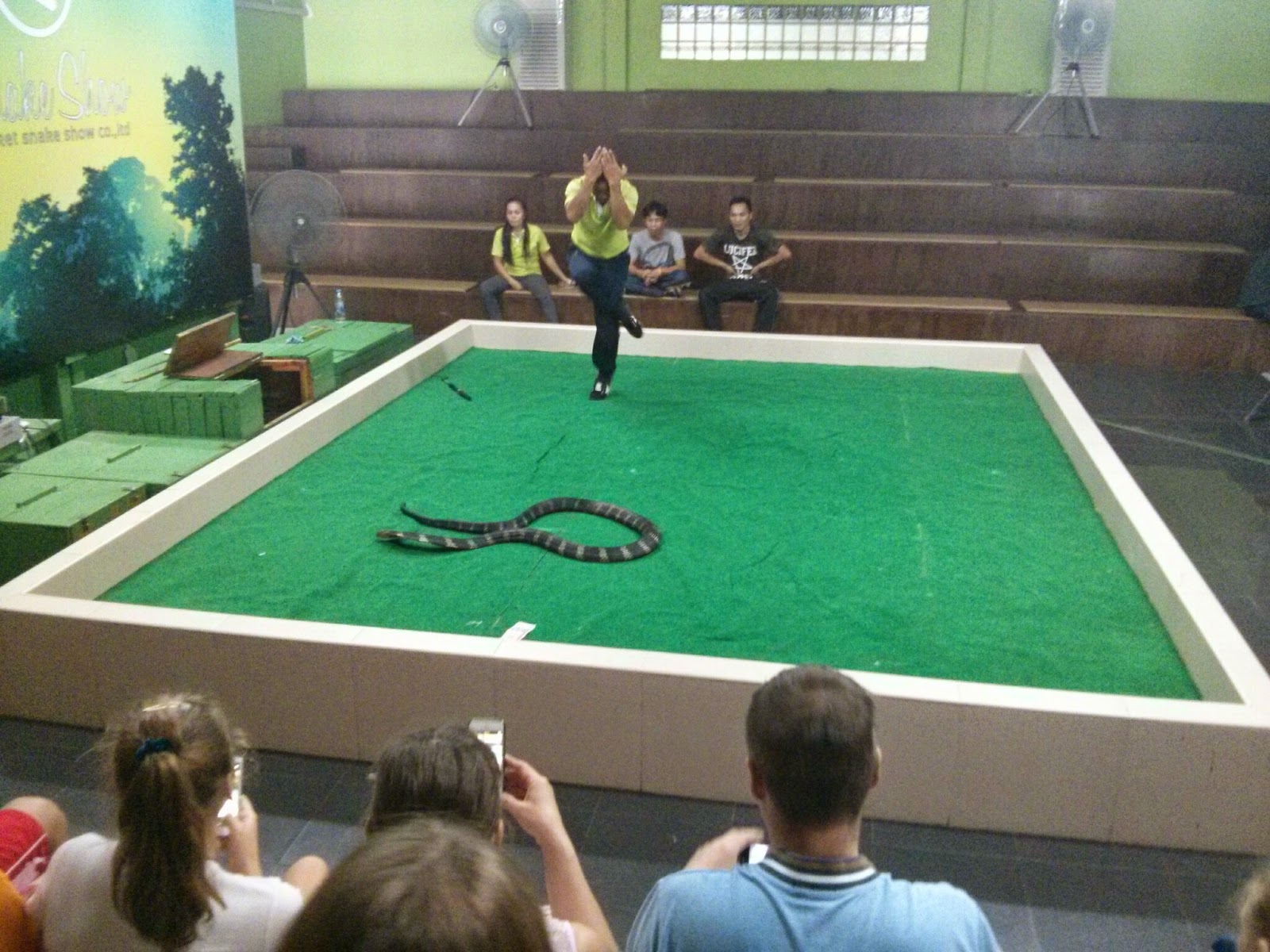 Phuket Snake Show, Пхукет, Таиланд