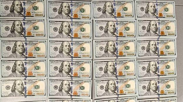 Прилетевшего из США с 38 тысячами долларов иностранца задержали в Москве