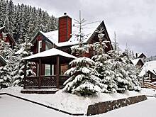 Раскрыты цены на аренду загородных домов в Новый год в Москве