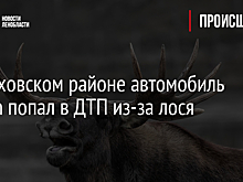 В Волховском районе автомобиль Nissan попал в ДТП из-за лося
