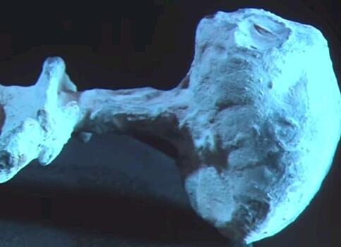 Беременный инопланетянин? - Ученые обнаружили в одном из «пришельцев Наска» три яйца