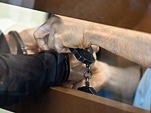 Бывшего топ-менеджера Росавиации заподозрили в получении взяток от авиакомпании