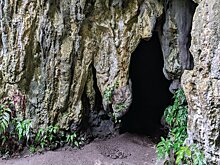 3500 лет назад люди перевозили рис по Тихому океану на 2300 км — открытие