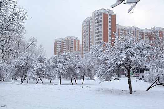 Самая низкая температура с начала зимы зафиксирована в Москве в ночь на 11 декабря