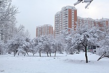 Москвичей предупредили о морозе и снегопаде