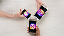 Instagram разблокировал аккаунт Ботанического сада МГУ