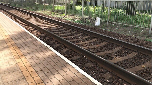 Железная дорога пройдёт в обход посёлка Холмогоровка