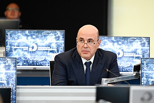 Мишустин: 30 сервисов на базе "ГосТеха" находятся в разработке