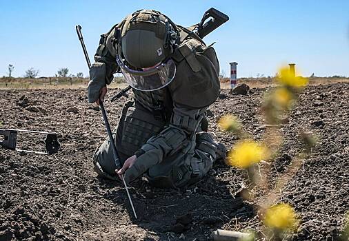 Российские саперы рассказали о загруженных минами роботах