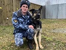Кинолог нижегородского ГУ ФСИН рассказал, как искал пропавшего тоншаевского подростка