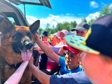 В Пермском крае прошел ряд мероприятий в рамках акции «Каникулы с общественным советом»